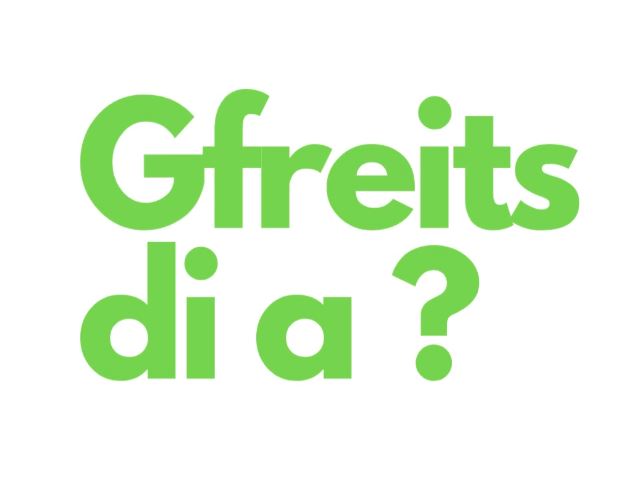 240323_Screenprint_-_Gedanken_eines_Vogels_-_Gfreits_di_a._.JPG