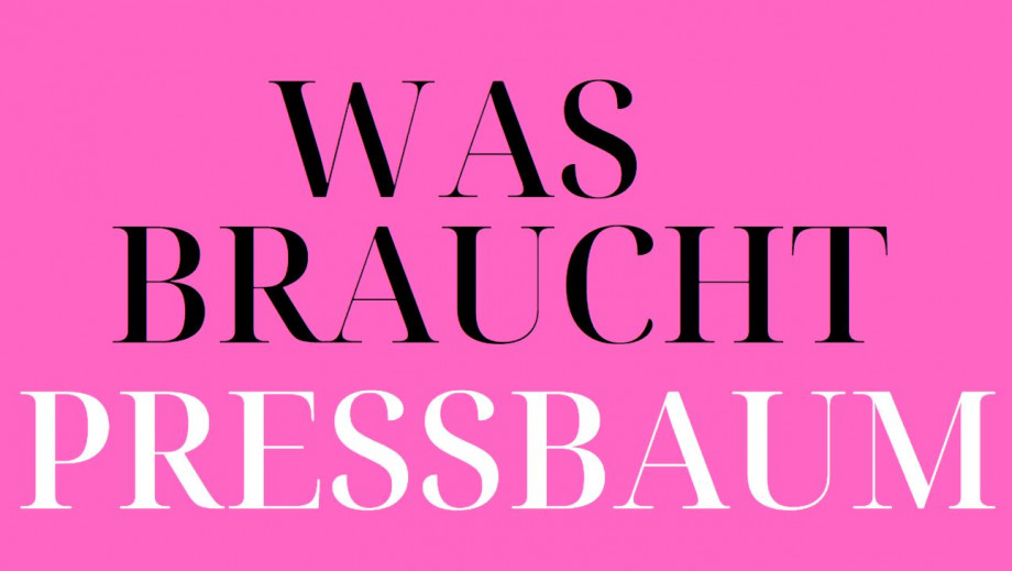 240518_Screenprint_-_Was_braucht_Pressbaum.JPG